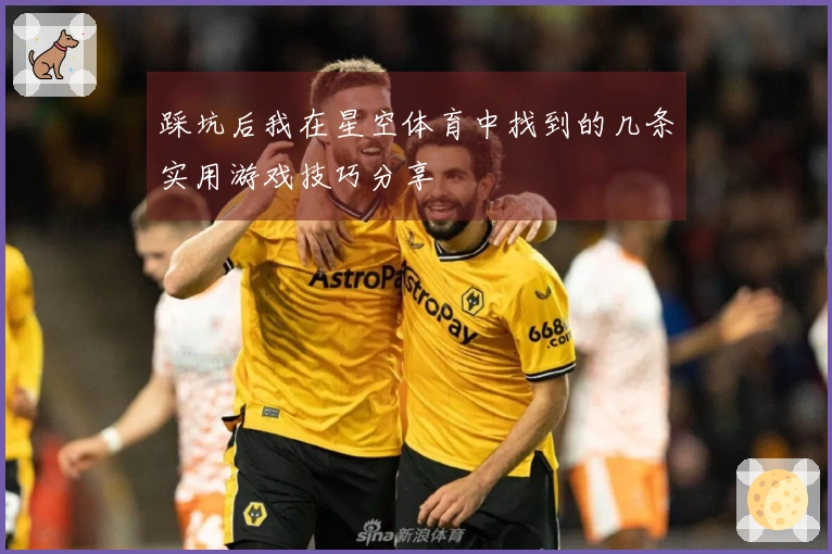 踩坑后我在星空体育中找到的几条实用游戏技巧分享
