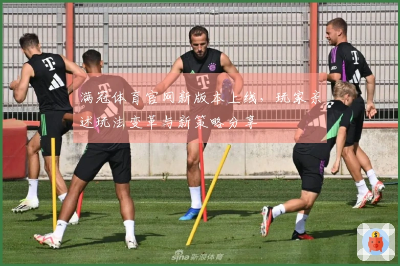 满冠体育官网新版本上线，玩家亲述玩法变革与新策略分享